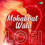 Mohabbat Wala Lofi - Hemant Kumar Song Download